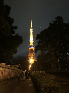 東京タワー111